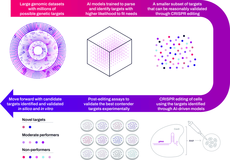 AI_CRISPR_workflow-1