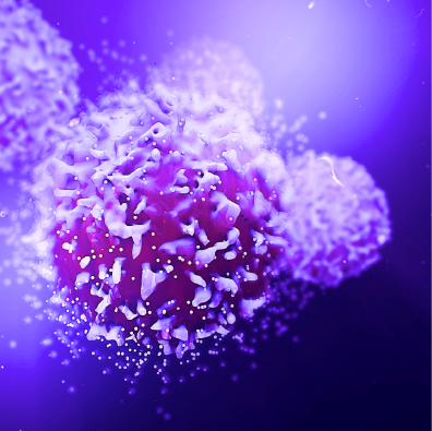 Knockout T cells