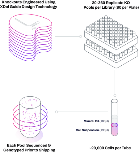 EC_ecl-overview-tall_XDel