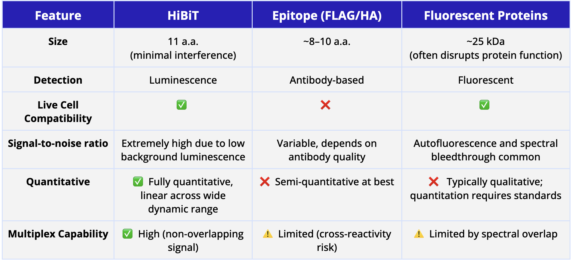 How HiBiT Outperforms Conventional Tags