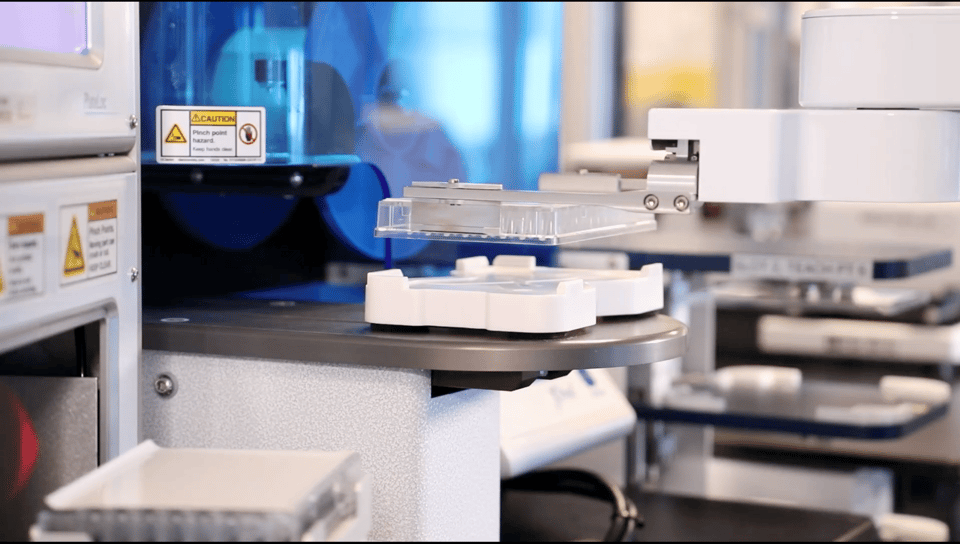 Scaling Cell Culture with Argo Automation: How EditCo Delivers High-Throughput Precision