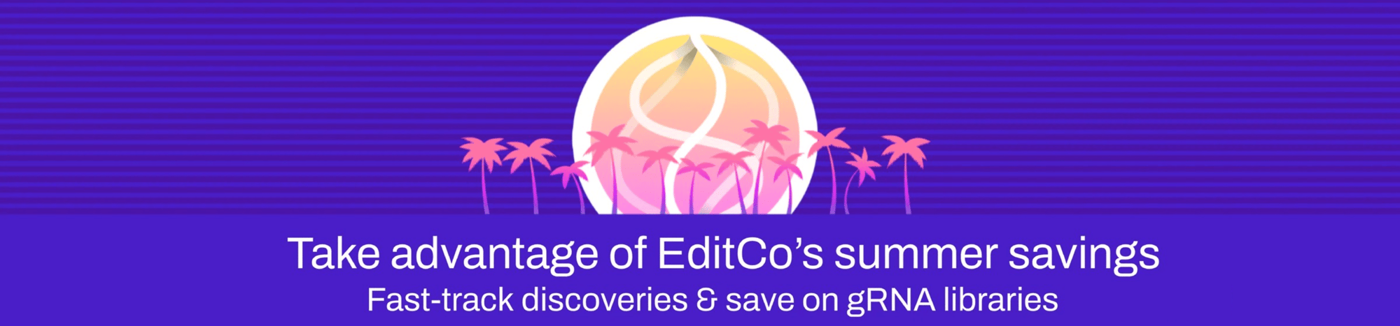 EditCo Summer Savings