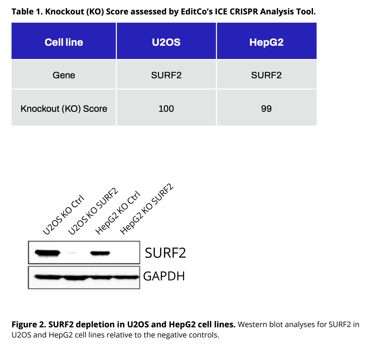 Screenshot 2025-10-08 at 4.24.55 PM