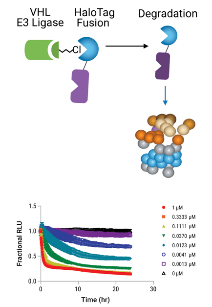 Screenshot 2026-01-06 at 2.57.45 PM