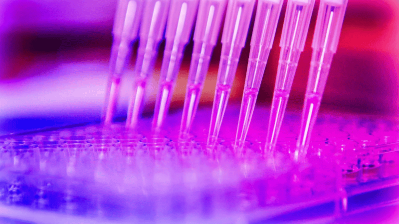 CRISPR Knockout Strategy