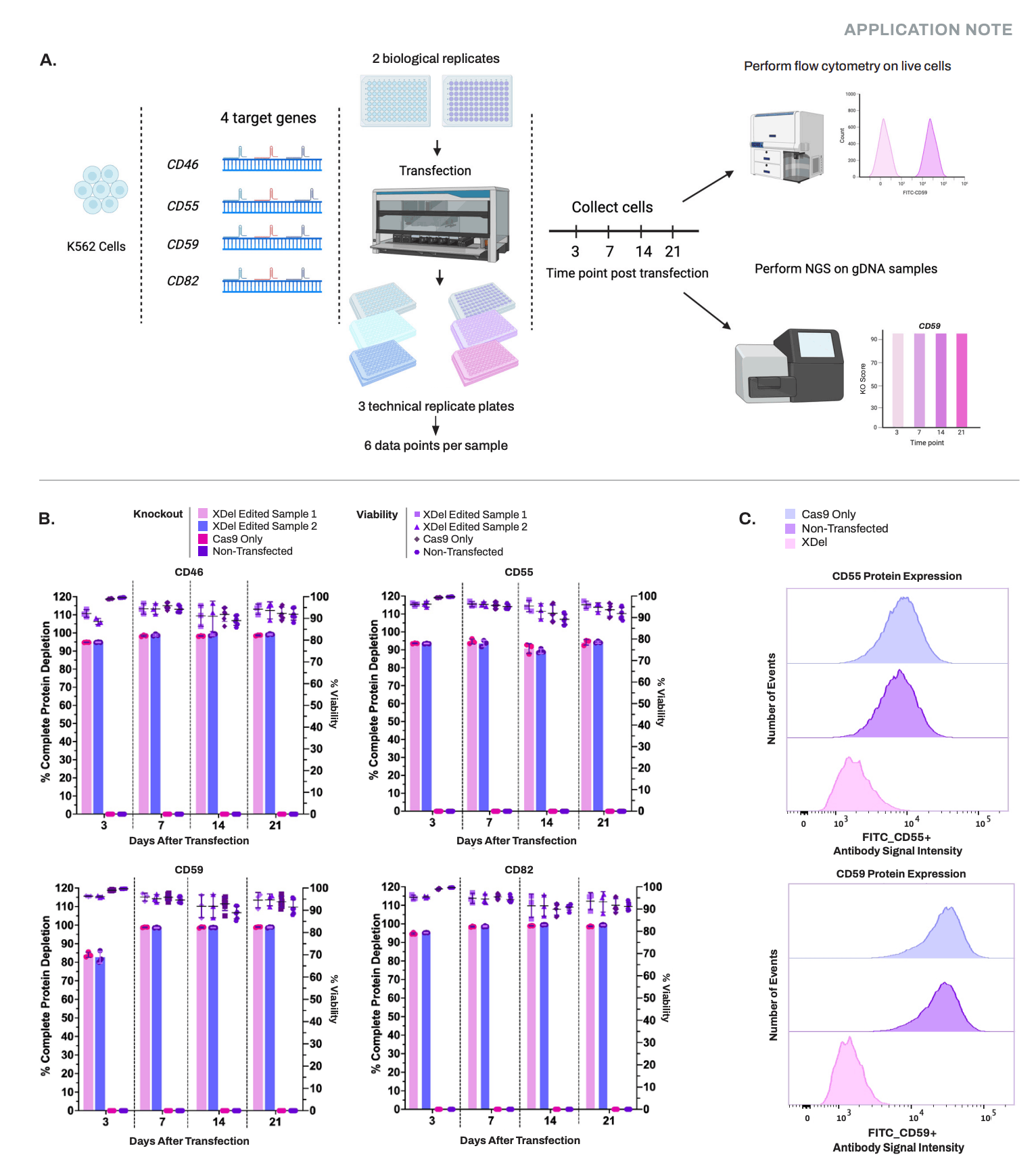 Time-course analysis through flow cytometry