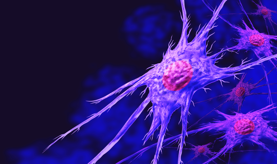 Editing Fibroblasts: Where CRISPR Meets the Cellular Architects