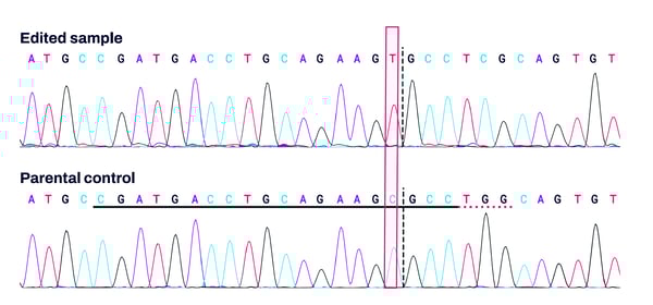 iPSC SNV-2