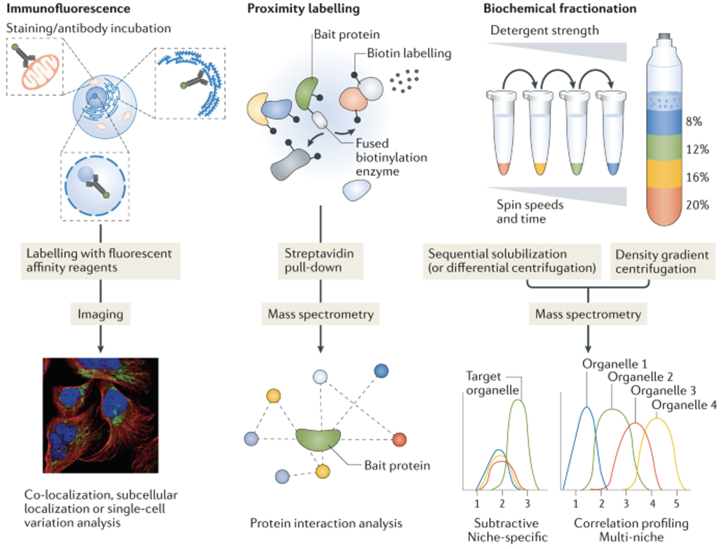 Subcellular proteomics methods