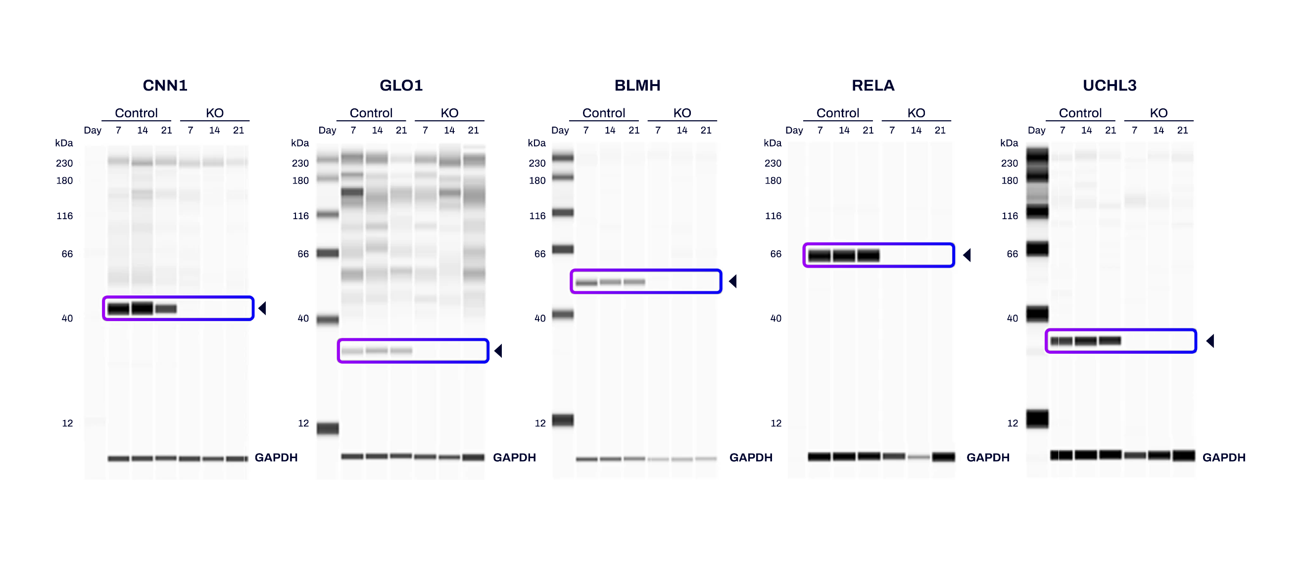 XDel data