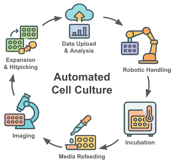 Components of automated cell culture