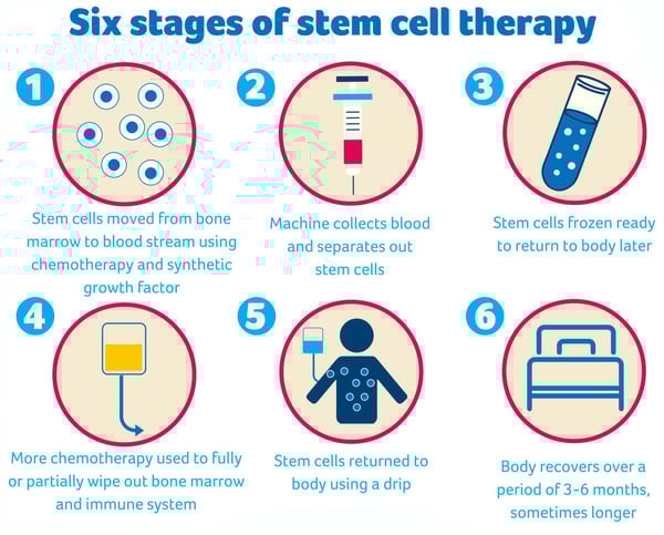 six stages of stem cell therapy