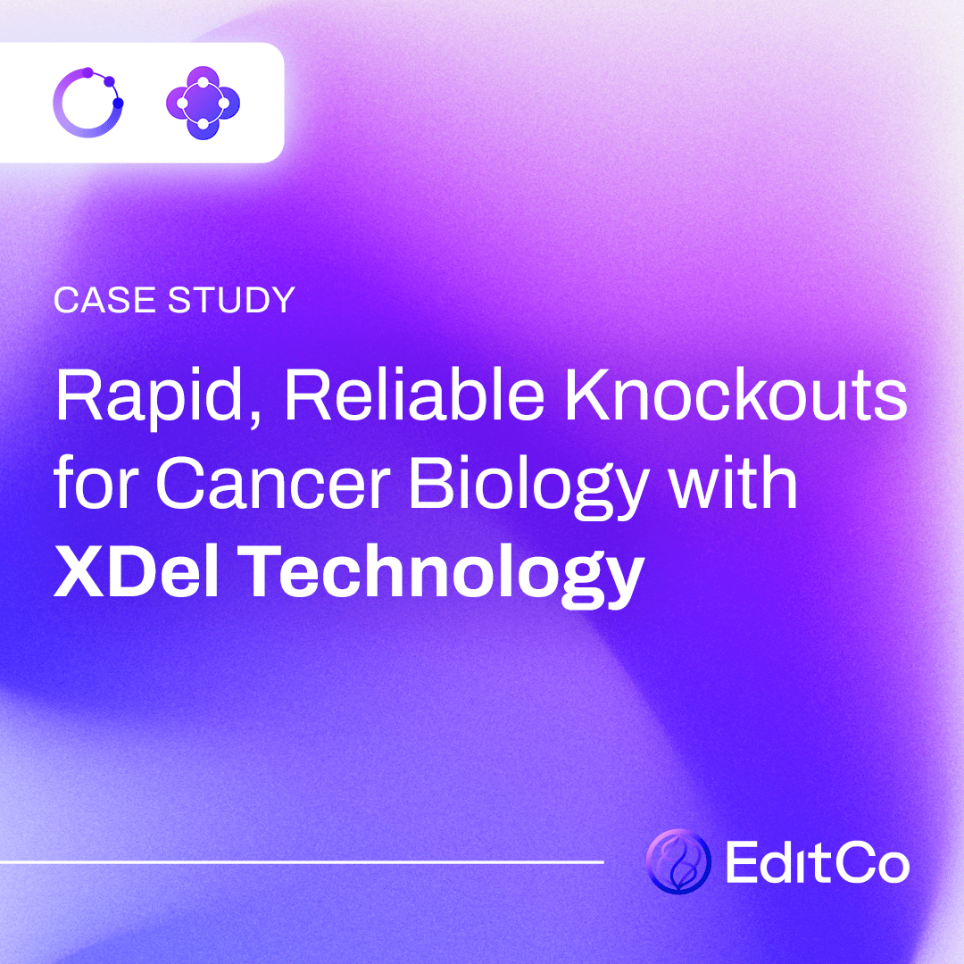 Rapid, Reliable Knockouts for Cancer Biology with XDel Technology: Unveiling SURF2’s Role in Nucleolar Stress and Its Potential as a Therapeutic Target