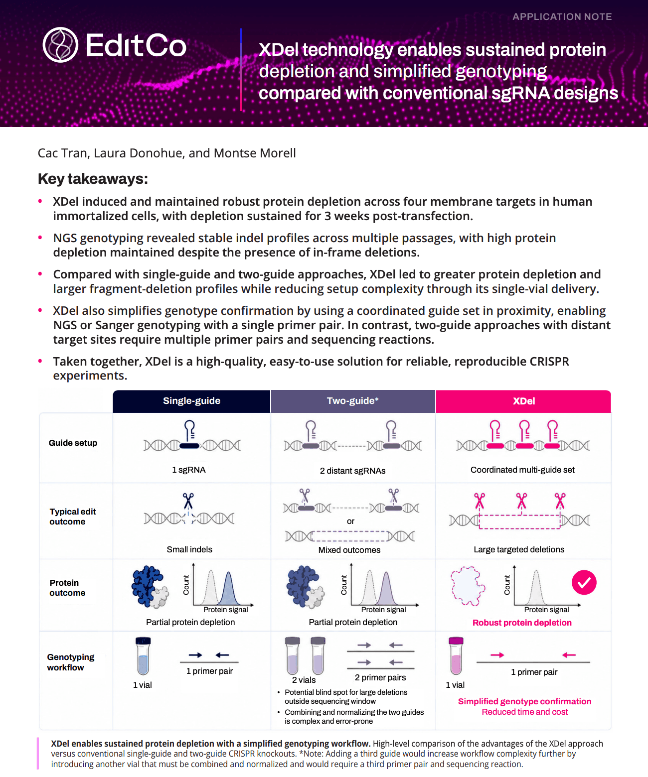 XDel Technology Enables Sustained Protein Depletion and Simplified Genotyping Compared with Conventional CRISPR Guide Designs